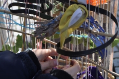 Looping