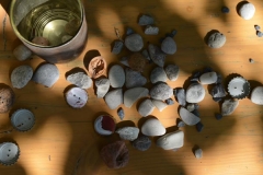 neue Schätze