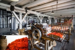 viele stationen (foto: O. Pracht)